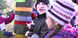 2014.11.07 – UBRALI DRZEWA NA ZIMĘ