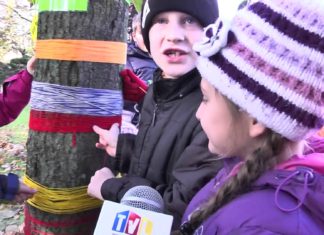 2014.11.07 – UBRALI DRZEWA NA ZIMĘ