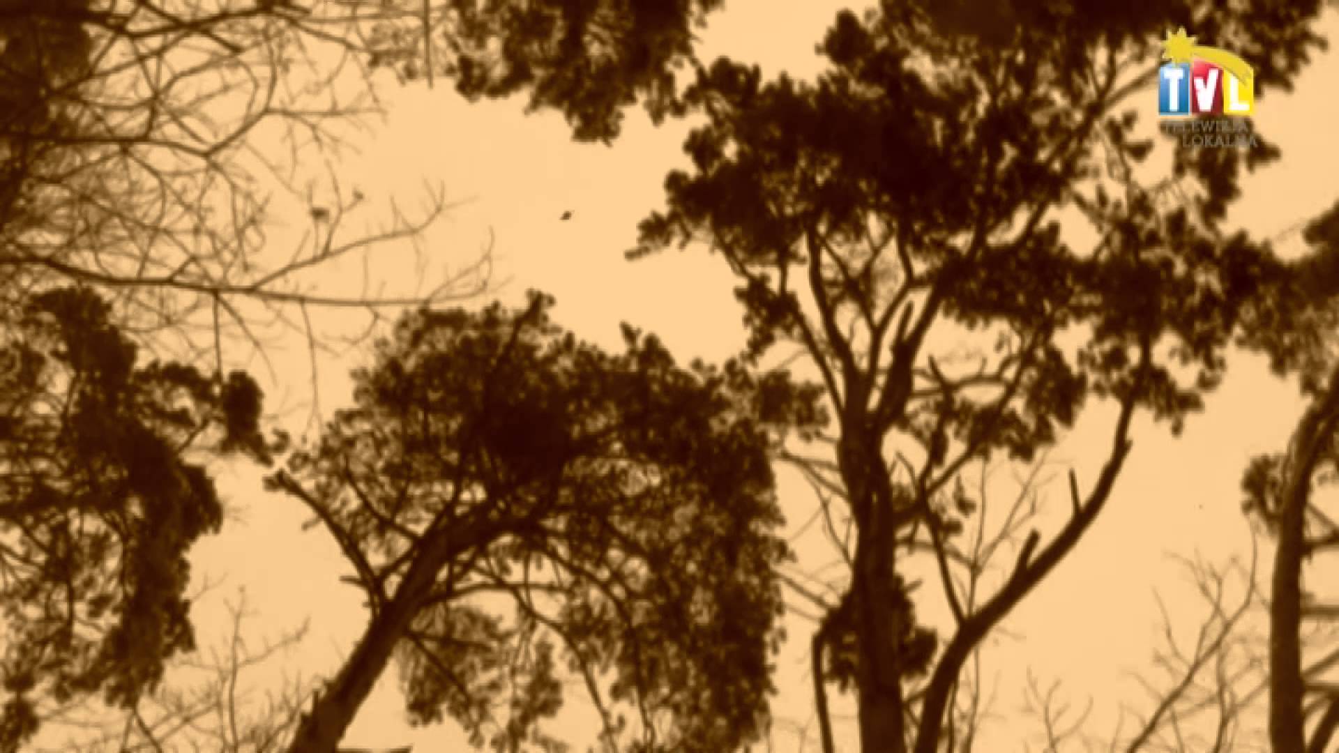 2014.12.24 – ŚWIĘTA Z TVL