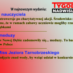 Reklama TV kopia (1)