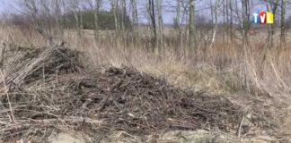 2015.03.25 – NIEBEZPIECZNE WYPALANIE TRAW