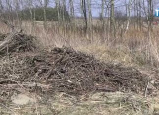 2015.03.25 – NIEBEZPIECZNE WYPALANIE TRAW