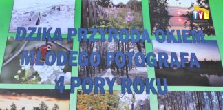 2015.03.03 – 4 PORY ROKU NA ZDJĘCIACH