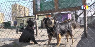 2015.03.11 – PODZIEL SIĘ PODATKIEM