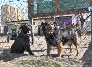 2015.03.11 – PODZIEL SIĘ PODATKIEM