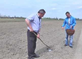 2015.04.24 – POSADZILI “JAŚKA”