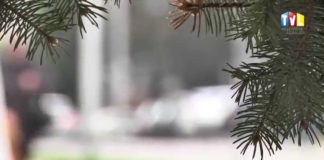 2015.04.07 – BEZPIECZNA WIELKANOC