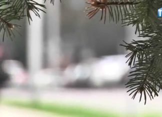 2015.04.07 – BEZPIECZNA WIELKANOC