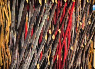 2015.07.28 – “40 NA 40”