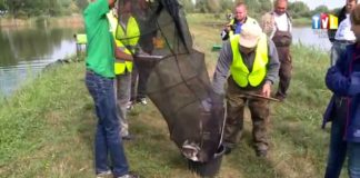 2015.09.05 – ŁOWILI W RAMACH MŁODZIEŻOWYCH MISTRZOSTW PODKARPACIA