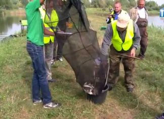 2015.09.05 – ŁOWILI W RAMACH MŁODZIEŻOWYCH MISTRZOSTW PODKARPACIA