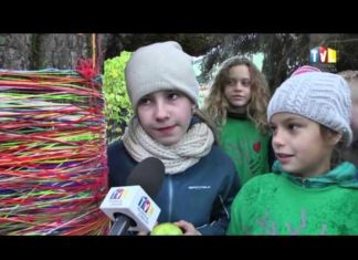 2015.10.22 – UBRALI DRZEWA NA ZIMĘ