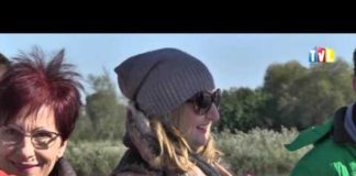 2015.10.09 – CHRZEST KABAŁY