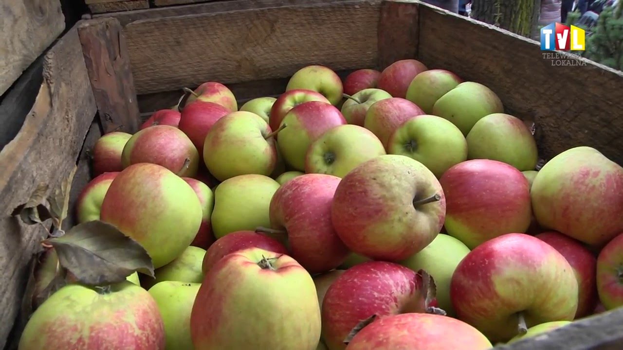 2016.03.01 – KOLEJNY TRANSPORT OWOCÓW I WARZYW