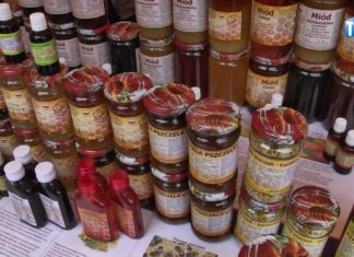 2016.08.07 – XVIII JARMARK DOMINIKAŃSKI