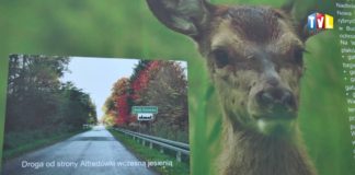 2016.08.02 – “GMINA OCZAMI MŁODYCH”