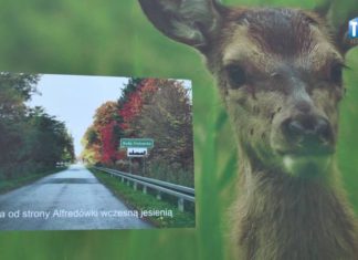 2016.08.02 – “GMINA OCZAMI MŁODYCH”