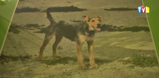 2016.10.24 – CZWORONOGI W OBIEKTYWIE