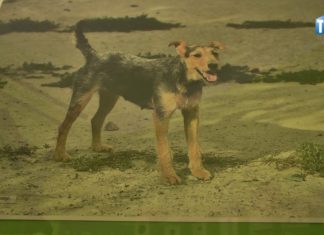 2016.10.24 – CZWORONOGI W OBIEKTYWIE