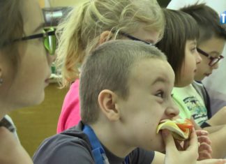 2016.11.08 – SMACZNIE ZDROWO, KOLOROWO