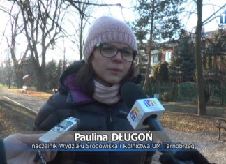 2016.12.13 – ALEJA ZYSKA NOWY BLASK