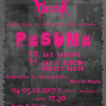 resume-10-lat-paradox-www