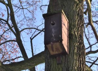 2017.02.13 – BĘDĄ ROZDAWAĆ BUDKI LĘGOWE