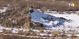 2017.02.13 – DOBRE WIEŚCI Z PARKU