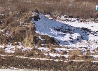 2017.02.13 – DOBRE WIEŚCI Z PARKU