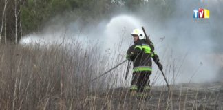 2017.03.08 – IDZIE WIOSNA, TRAWY PŁONĄ