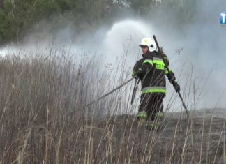 2017.03.08 – IDZIE WIOSNA, TRAWY PŁONĄ