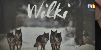 2017.03.10 – BIBLIOTEKA KSIĄŻKĘ POLECA – „WILKI”