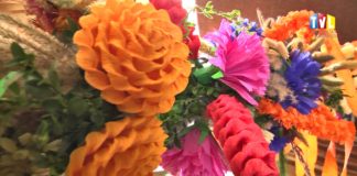 2017.04.09 – PALMY W WOLI BARANOWSKIEJ