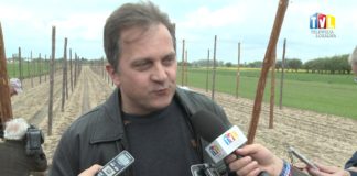 2017.05.12 – WYJECHALI NA POLA FASOLOWE