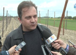 2017.05.12 – WYJECHALI NA POLA FASOLOWE