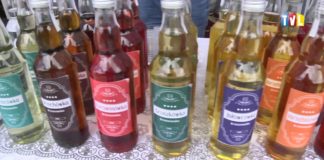 OKO REPORTERA Z DN. 16 CZERWCA 2017 – IV DZIKOWSKI FESTIWAL NALEWEK