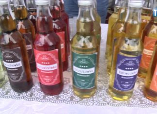 OKO REPORTERA Z DN. 16 CZERWCA 2017 – IV DZIKOWSKI FESTIWAL NALEWEK