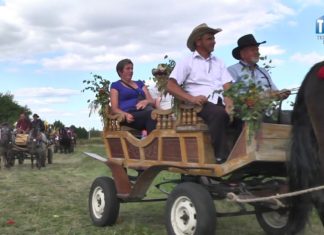 2017.08.15 – DOŻYNKOWA ZABAWA W FURMANACH