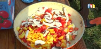 2017.08.27 – RYBY W ROLI GŁÓWNEJ