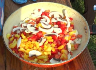 2017.08.27 – RYBY W ROLI GŁÓWNEJ