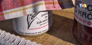 2017.07.3 – ŚWIĘTO KRÓLEWSKIEJ WSI SOKOLNIKI