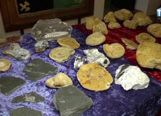 2017.09.17 – PIĘKNE OKAZY W MUZEUM SIARKI