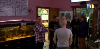 2017.10.17 – “JELENIE NA RYKOWISKU”