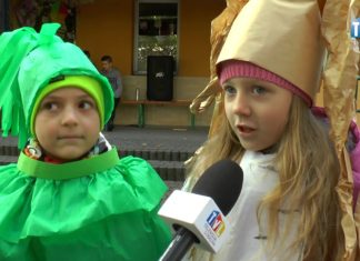 2017.10.26 – SZYLI DRZEWOM UBRANIA NA ZIMĘ