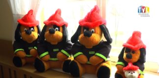 2017.11.22 – “NIE” DLA CZADU