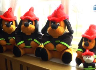 2017.11.22 – “NIE” DLA CZADU