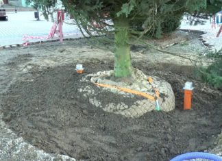 2017.11.27 – TARNOBRZEG MA JUŻ ŚWIĄTECZNE DRZEWKO