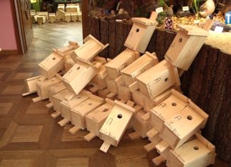 2018.03.20 – ROZDAWALI BUDKI NA WIOSNĘ