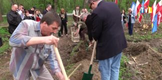 2018.04.16 – DĘBY NA 100-LECIE NIEPODLEGŁOŚCI