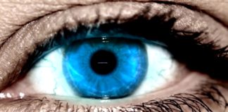 OKO REPORTERA Z DN. 20 KWIETNIA 2018 – TARGI PRACY